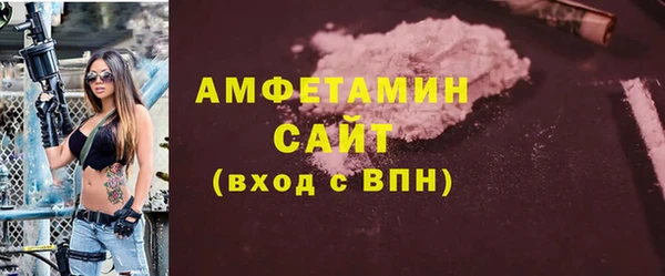прущие грибы Заводоуковск