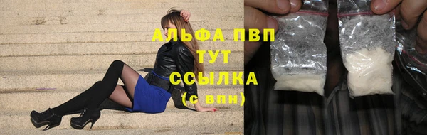 шишки Заволжье
