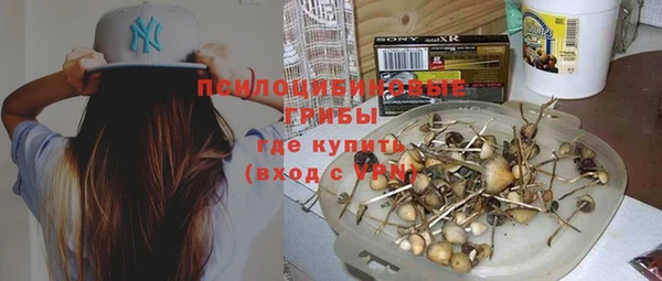 спиды Заволжск