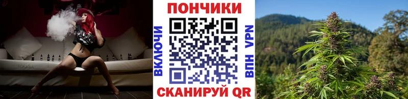 Канабис гибрид  Шумерля 